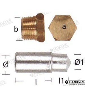 Ânodo Lombardini com Tampa (TEN02351T)Ânodo de proteção original Lombardini com tampa, ideal para preservar o seu motor contra c