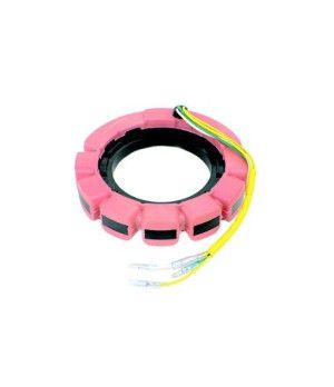 STATOR