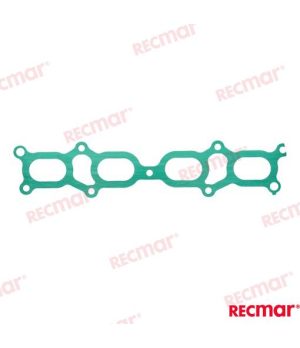 DICHTUNG COLECTOR