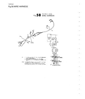 Extension Cord 3000 Original Yanmar 128170-77500Pieza original Yanmar, compatible con 1GM10, 1GM10VE, 1GM10-B, 1GM10C, 1GM10L. S