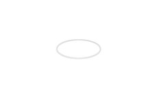 Anillo Tórico Original Volvo Penta 975691