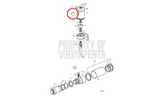 Prensa de Grasa Original Volvo Penta 827184
