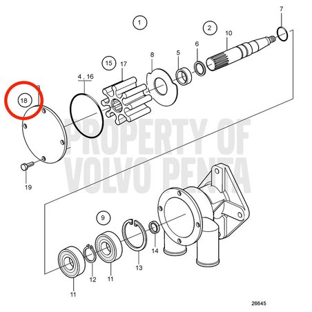 Juego de Tornillos Original Volvo Penta VOP21951334 | D2-75