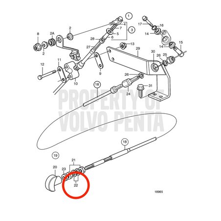Arruela dentada original Volvo Penta VOP955950 | MD2030