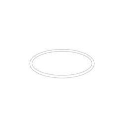Anillo Tórico Original Volvo Penta VOP20450819 | MD2010