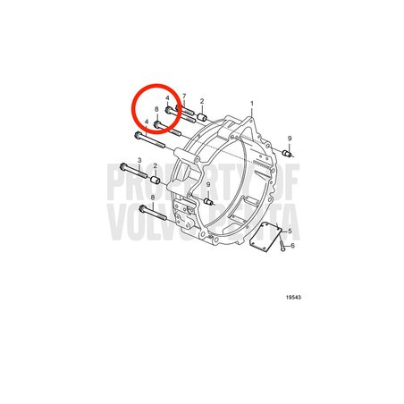Vite a sei denti originale Volvo Penta VOP20459991 | MD2010