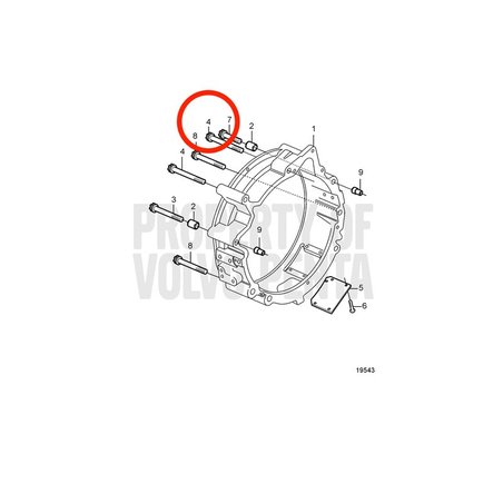 Vite a sei denti originale Volvo Penta VOP20459995 | MD2010
