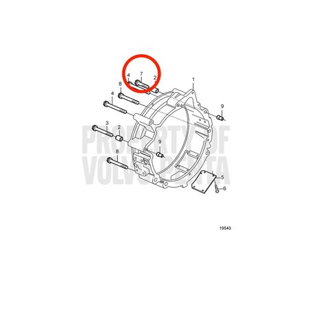 Vite a sei denti originale Volvo Penta VOP20460931 | MD2010