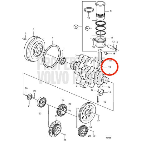 Cojinete Original Volvo Penta VOP20565150 | MD2010