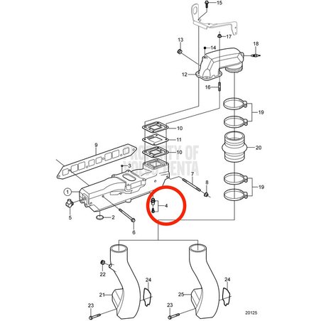 Grifo de Vaciado Original Volvo Penta VOP3854494 | 4.3GXi-C