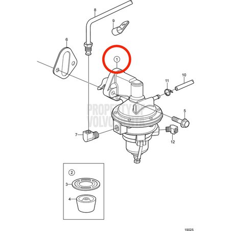 Pompe Volvo Penta d'origine VOP3854858 | 3.0GLM-B