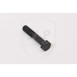 Tornillo Volvo 970976