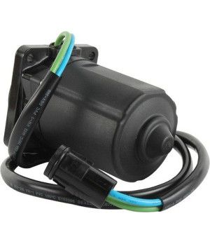 MOTOR TRIM HONDA