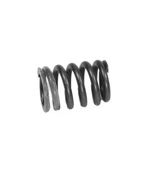 SPRING: VALVE 454 STD 1996-98