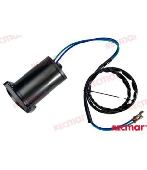 Motor Trim E-TEC REC5006319Sistema de inclinação e compensação para motores fora de borda E-TEC. Compatível com Johnson Evinrude