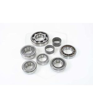 Kit Cuscinetti Trasmissione SLP GBS-50Kit Cuscinetti Trasmissione di ricambio per Macchine Volvo (Off Road). Prodotto da SLP (Sw