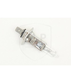 SLP Light Bulb LIB-516