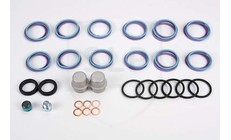 Kit Complementare Decarbonizzazione Volvo 15021076