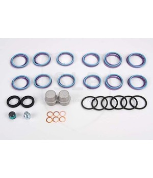Kit Complementare Decarbonizzazione Volvo 15021076