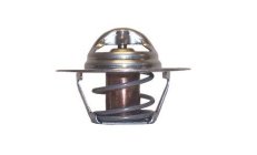TERMOSTATO 160