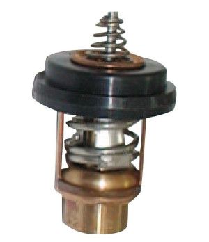 Termostato 804540 RM804540 Mercury