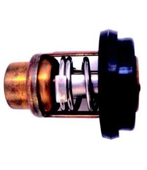 Termostato 8M0119207 RM855676005 Mercury