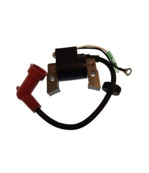 IGNITION WINDING ASSY