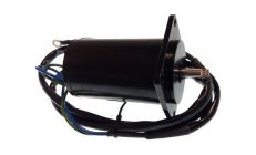 MOTOR TRIM YAMAHA