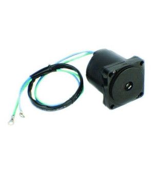 MOTOR TRIM