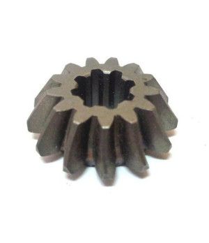 PIÑON