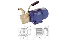 BOMBA ELECTRICA 12V  53L/min