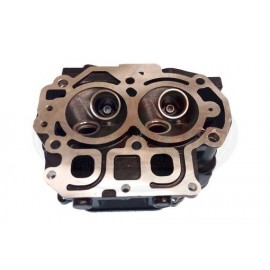 CYLINDER HEAD ASSY -COMPLETE